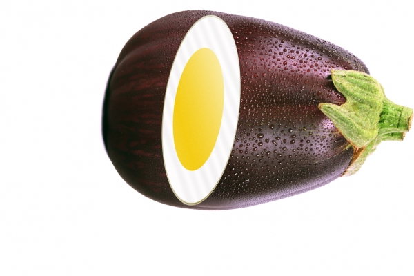 Creation of Eggplant: Step 5